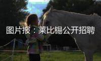 图片报：莱比锡公开招聘厨师
，为球员和工作人员提供餐饮服务