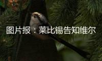 图片报：莱比锡告知维尔纳将不再上场
，唯一下家或为纽约红牛
