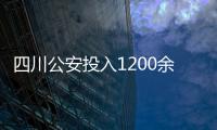 快排公司十年历程，霸屏兔 seo 的崛起与坚守