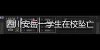 四川安岳一学生在校坠亡，官方通报