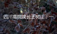 四川高院院长王树江：一个案例胜过一打文件