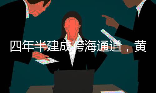 其间设有2座超大斜拉桥