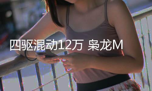 哈弗4月16日推出二代枭龙MAX