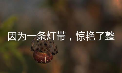3�、条灯奢华大气