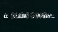 在“小蛮腰”�，珠海簕杜鹃灿烂绽放！