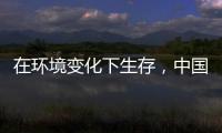 在环境变化下生存，中国十大管业品牌以最快的速度做调整