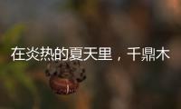 在炎热的夏天里，千鼎木门为您送上一份清凉!