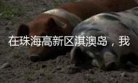 在珠海高新区淇澳岛，我为全运种棵树