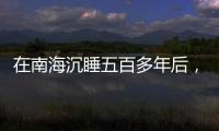 在南海沉睡五百多年后，它们终于出水展出