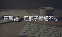 在新疆“连猴子都翻不过的山”
，查缉、抢险和反恐维稳
