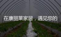在康丽莱家居�，遇见您的专属床垫