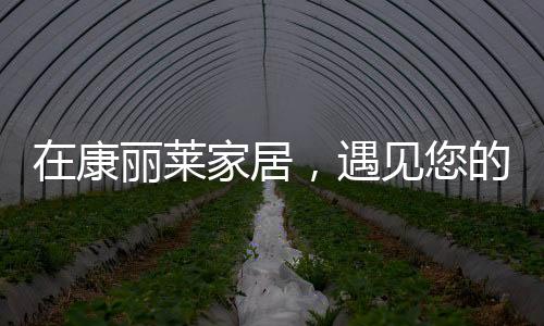 康丽莱家居有限公司