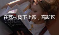 在荔枝树下上课，高新区这群青少年直呼“有韵味！”