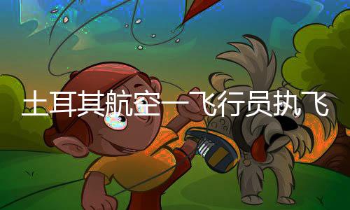 落美土耳其航空公司表示
