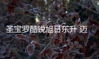 快排公司十年历程，霸屏兔 seo 的崛起与坚守