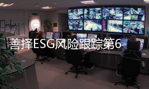 而在企业履行社会责任方面