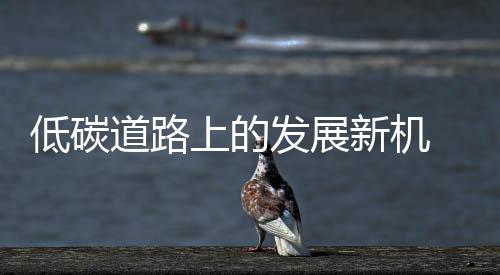 发展市场盈利在握;做得不好