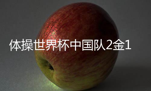 杯中女子平衡木收获1银1铜