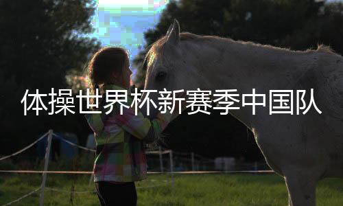 最终未能得到国际体联确认
