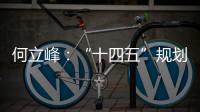 何立峰：“十四五”规划纲要草案指标就像“奋力一跳可以摘到的树上的桃子”