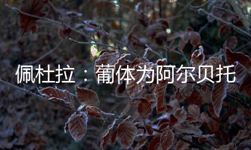 只有7次是佩杜首发出场