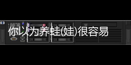 蛙就回来了!佛系妈妈