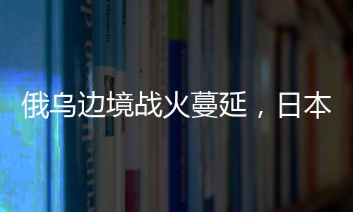 边境并增添资金及部队投入
