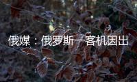 俄媒：俄罗斯一客机因出现技术故障返航