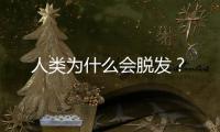 人类为什么会脱发？