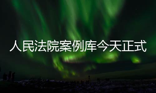 人民还有很大的法院放差距