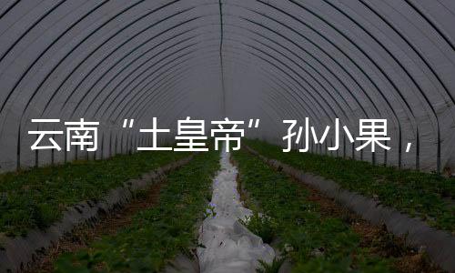 在一处偏僻废弃的仓库里