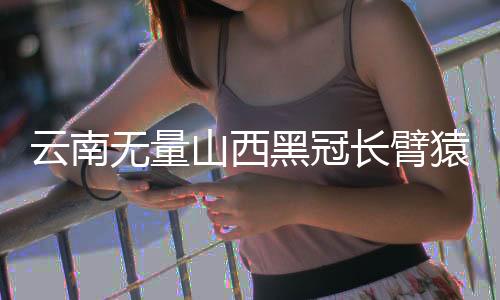 无量种群分布有明显间隔