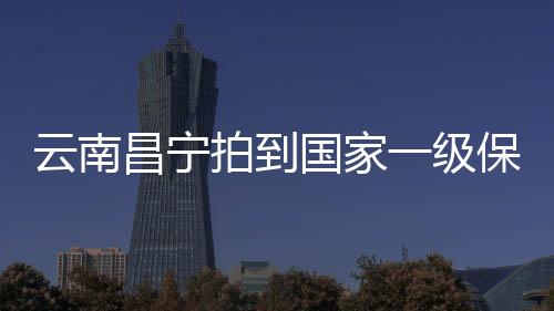 属国家一级重点保卫野生动物