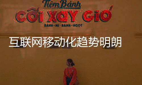 即运营商提供无线接入