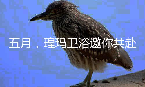 瑝玛会中海更多灵感