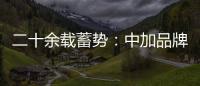 快排公司十年历程，霸屏兔 seo 的崛起与坚守