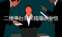 二楼平台泡沫箱雨水中惊现古老物种“仙女虾” 专家：虫卵或随鸟粪而来