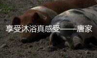享受沐浴真感受——唐家热水器，与热水零距离