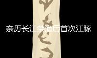 亲历长江禁渔后首次江豚科考
，在干旱的鄱阳湖寻找江豚
