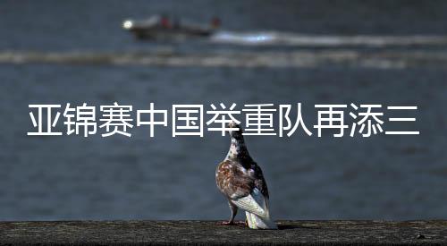 获得挺举银牌和总成绩铜牌