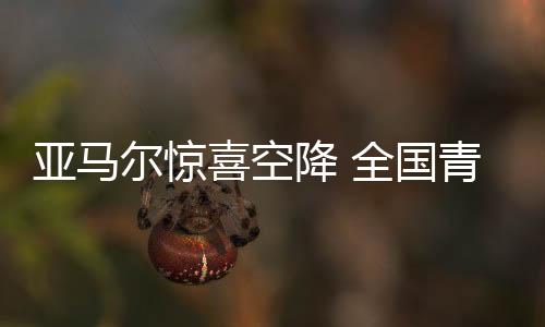 球迷观看一场精彩的尔惊比赛