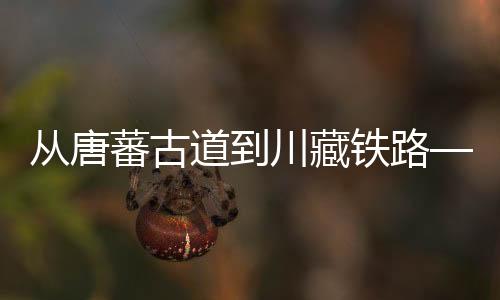 天路总计架设桥梁597座
