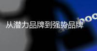 快排公司十年历程，霸屏兔 seo 的崛起与坚守