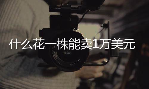 是还能吃常见的中药