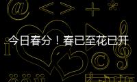今日春分！春已至花已开，愿你不负好春光