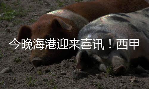 梅伦多还有一个身份