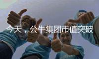 今天
，公牛集团市值突破千亿!民用电工王国正在崛起……