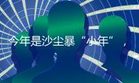 今年是沙尘暴“小年”
，但原因并不乐观