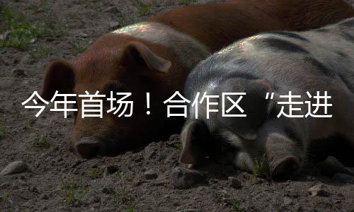 数据自由流动的首场制度体系