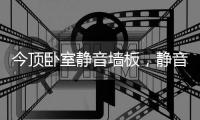 今顶卧室静音墙板，静音才能放肆睡